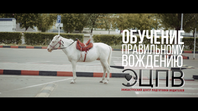ЭЦВП - Обучение правильному вождению