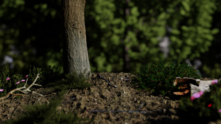 3D Environments - Forest