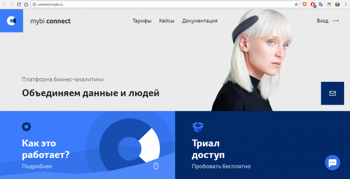 Сайт компании myBI Connect