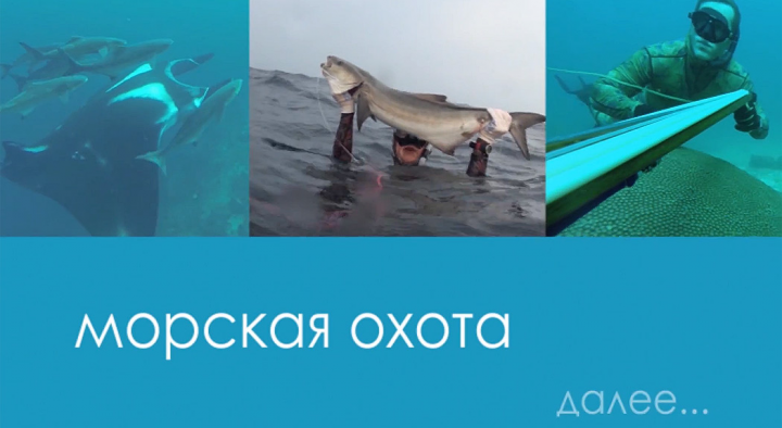 Передача о подводной охоте в Индонезии