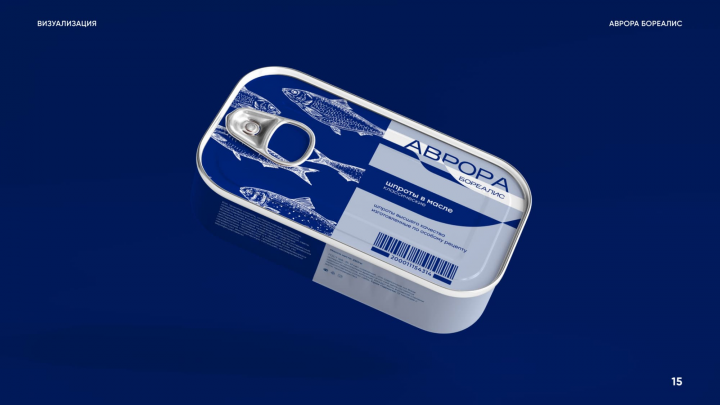 Фирменный стиль для Aurora Borealis