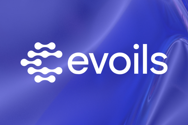 Айдентика | Evoils