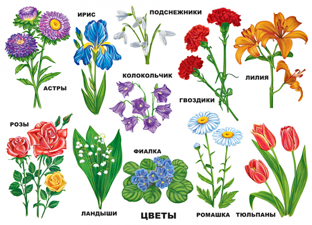 Работа 3481260