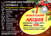Флаер_новогодняя акция