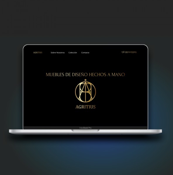 pic4424561.jpg