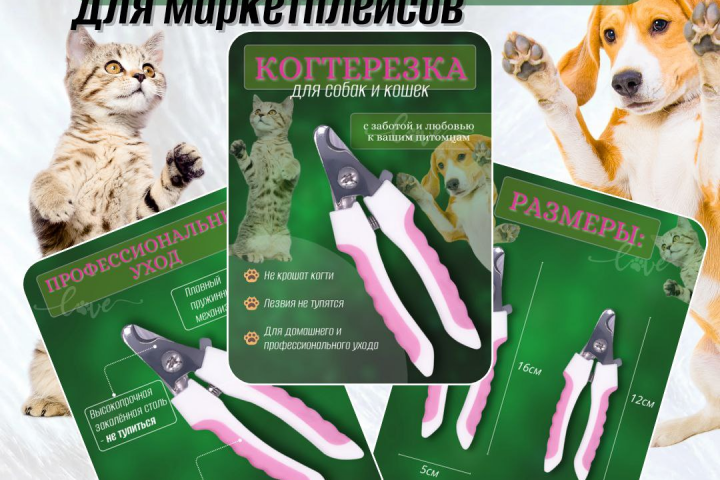 Инфографика