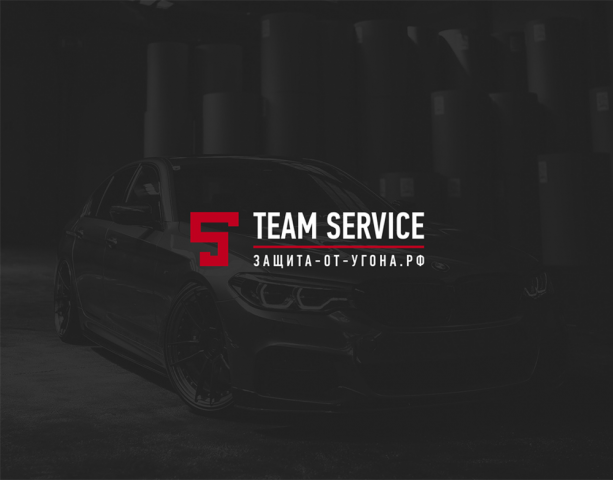 5TeamService