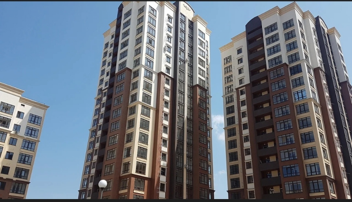 Жигулина роща. 2019 г. Фото с натуры.