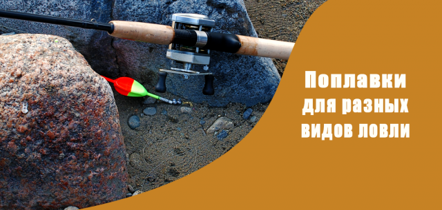 Слайд