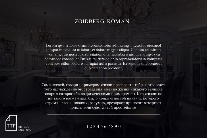 Шрифт ZOIDBERG ROMAN