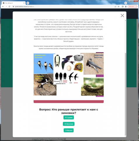 Разработка викторины