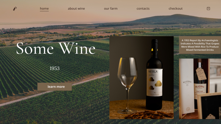 Интернет магазин винного бюро