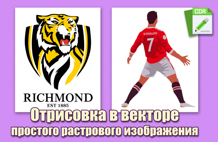 Вектор