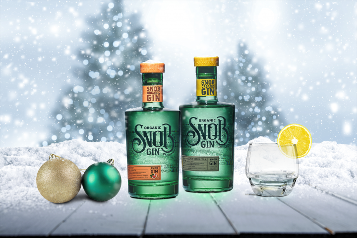 Визуал для проекта Gin Snob.