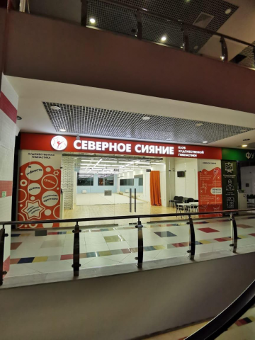 Дизайн входной группы для школы гимнастики