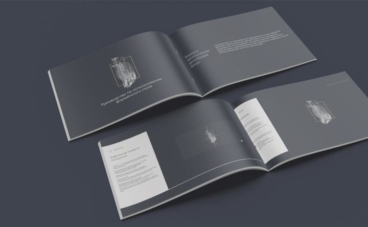 Брендбук DetectX