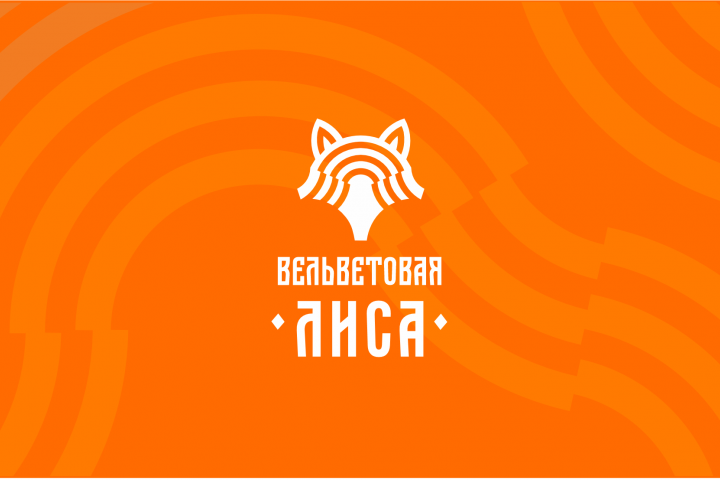 Бренд одежды