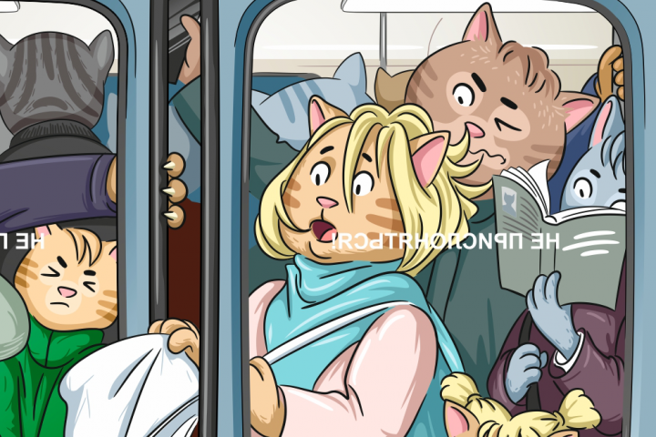 Котики в метро