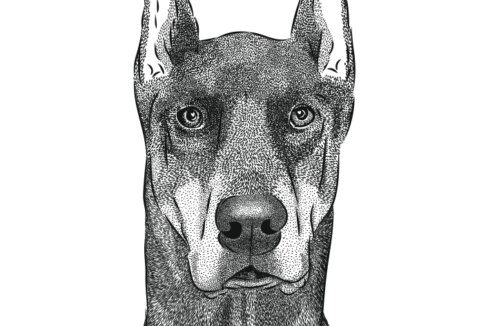 Перевод в вектор