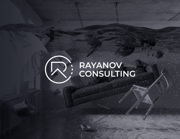RAYANOV CONSULTING