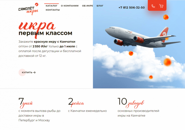 Интернет магазин SAMOLETIKRA.RU