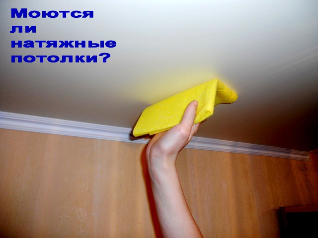 pic2622435.jpg