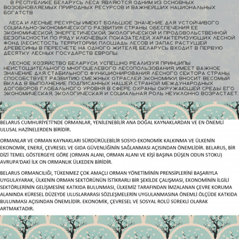 Перевод на турецкий