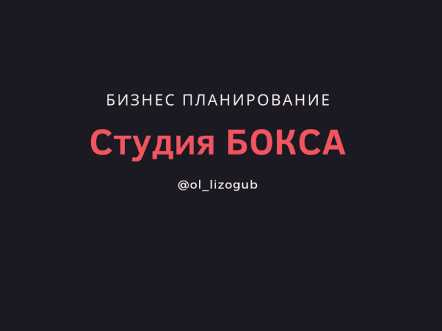 Бизнес-план студии бокса.