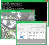 Видеонаблюдение клиент-сервер C#+MySQL