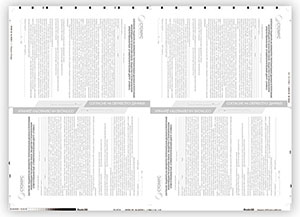 Листовка, 1+0