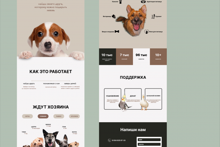 Сайт для приюта для животных