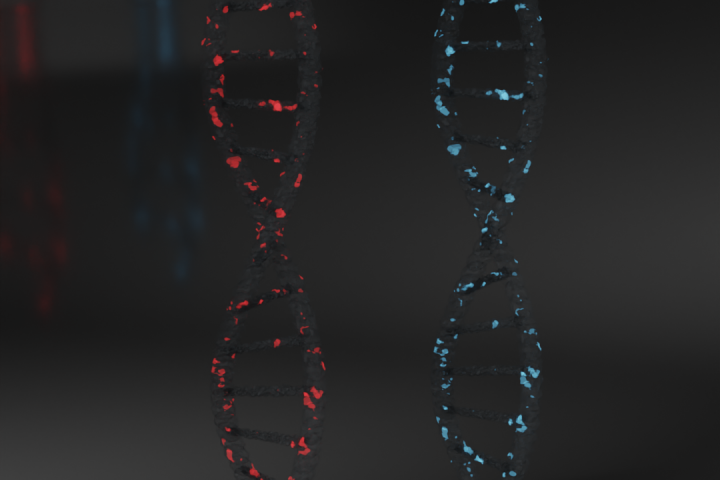 DNA sync
