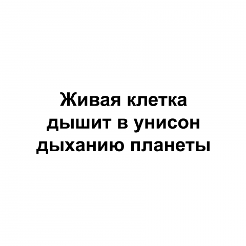 Слоган про дыхание жизни.