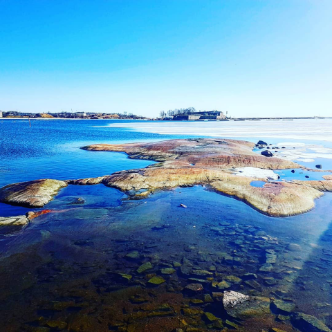 Информационная статья. Экологическая тема в Финляндии