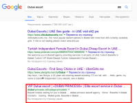 dubai-princess.net