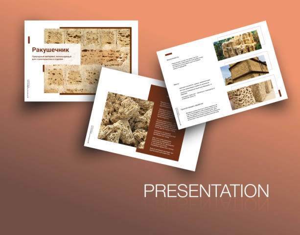 Презентация