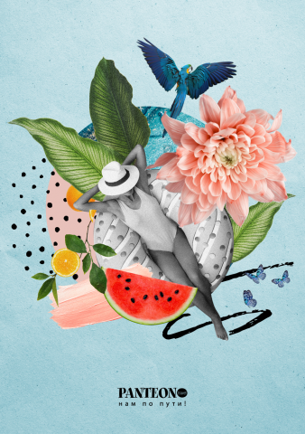 Обложка Летний концепт