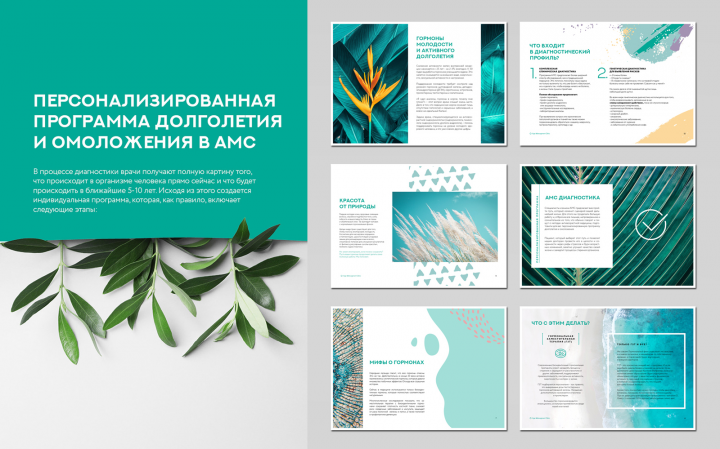 презентация AMC