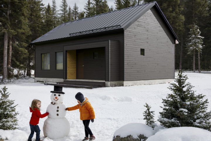 ИЖС визуализация загородного дома