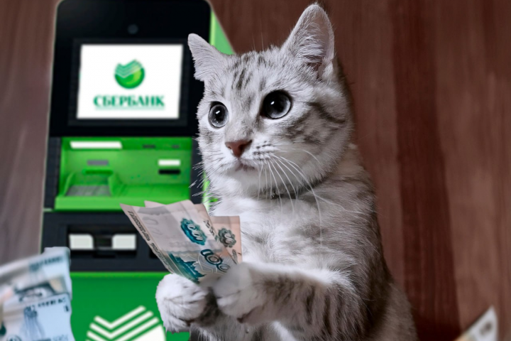 Создание видео нейросетями