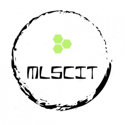 Логотип MLSCIT, научно - исследовательская лаборатория