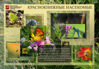 Строгино-парк. информационный щит