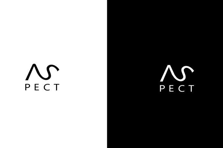 Идеи логотипов для магазина одежды ASPECT