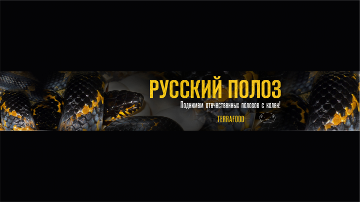 Заставка YouTube