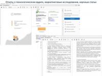 Разработка профессиональных отчетов
