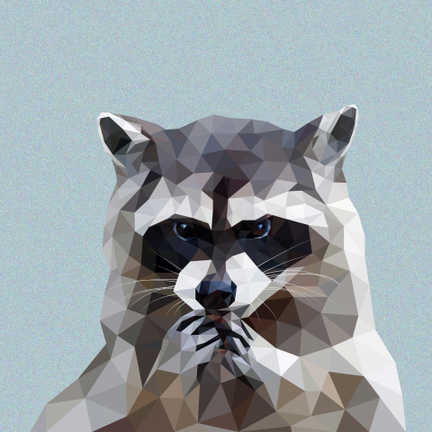 Енот в технике Low-Poly