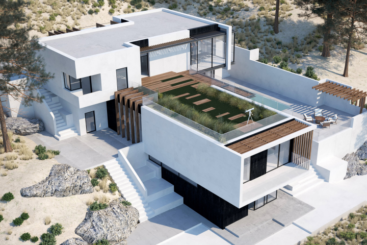 HOUSE GRASS