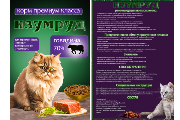 инфографика и дизайн