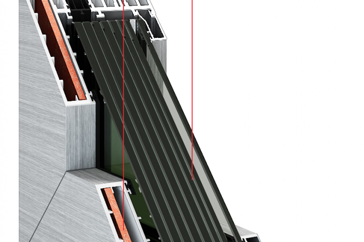 ���� ����