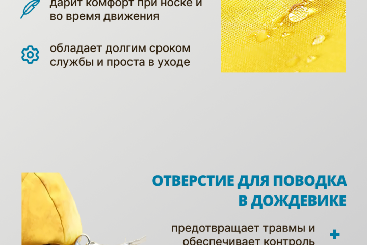 Инфографика